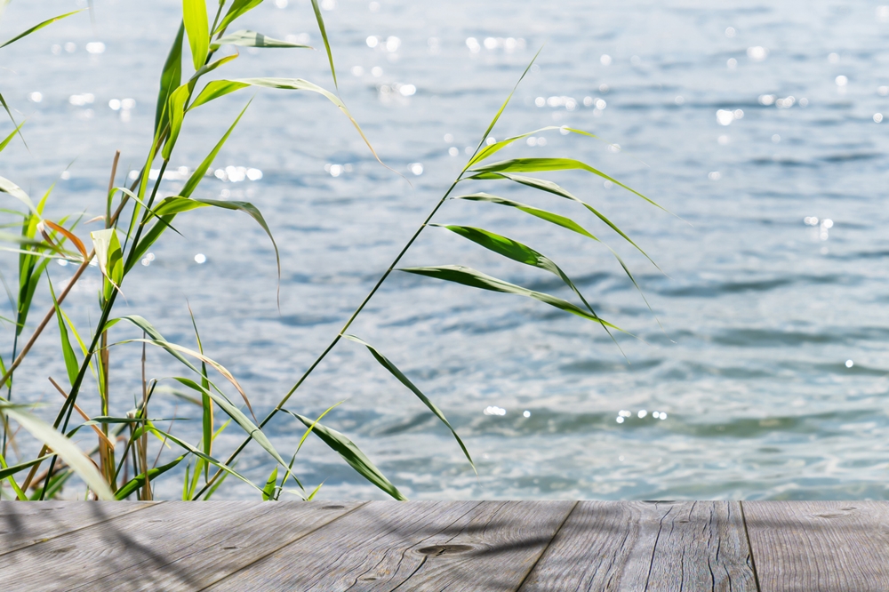 AgroAqua GmbH Ampflwang